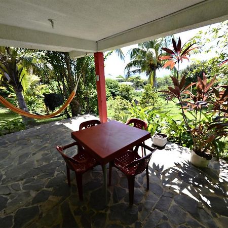 Windy View Guest House Archibolds ภายนอก รูปภาพ