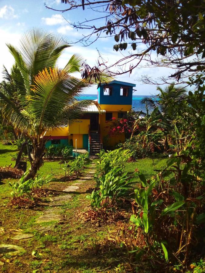Windy View Guest House Archibolds ภายนอก รูปภาพ