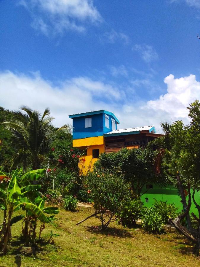 Windy View Guest House Archibolds ภายนอก รูปภาพ