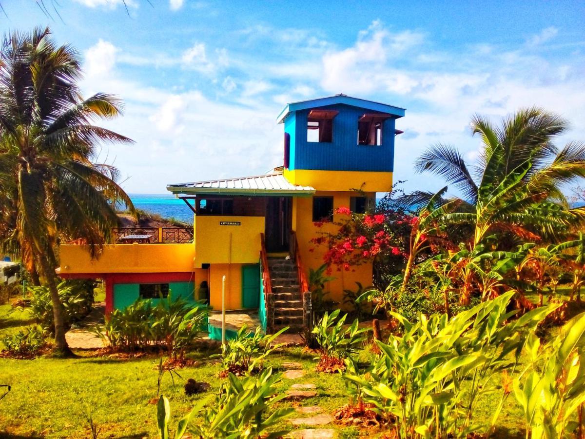 Windy View Guest House Archibolds ภายนอก รูปภาพ