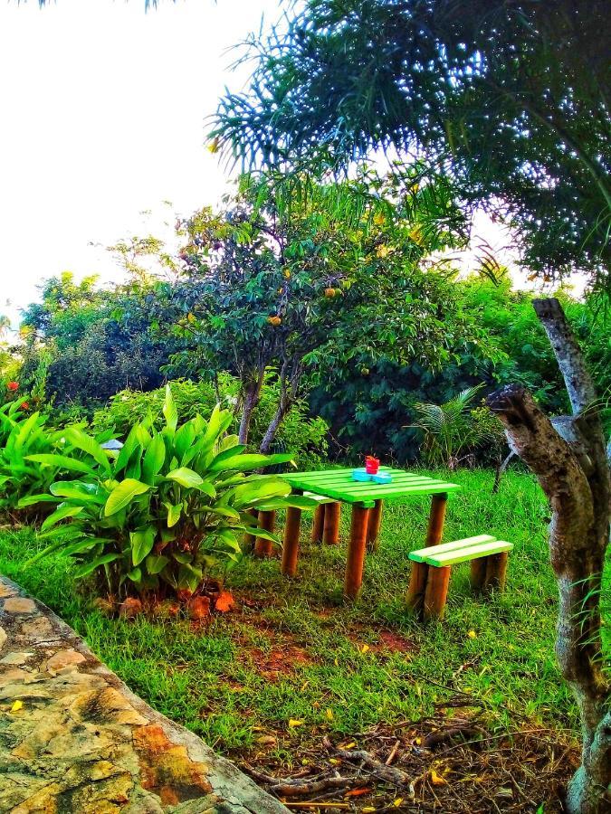 Windy View Guest House Archibolds ภายนอก รูปภาพ