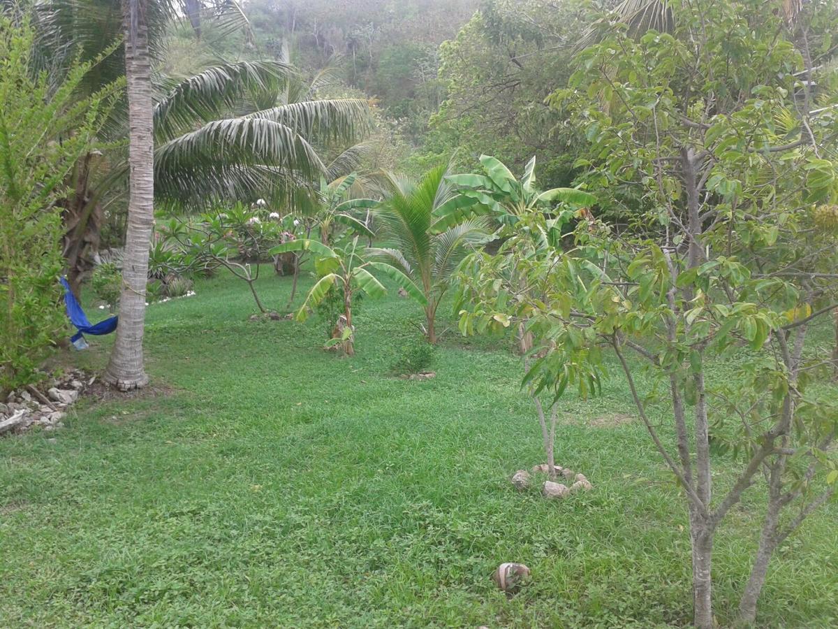 Windy View Guest House Archibolds ภายนอก รูปภาพ