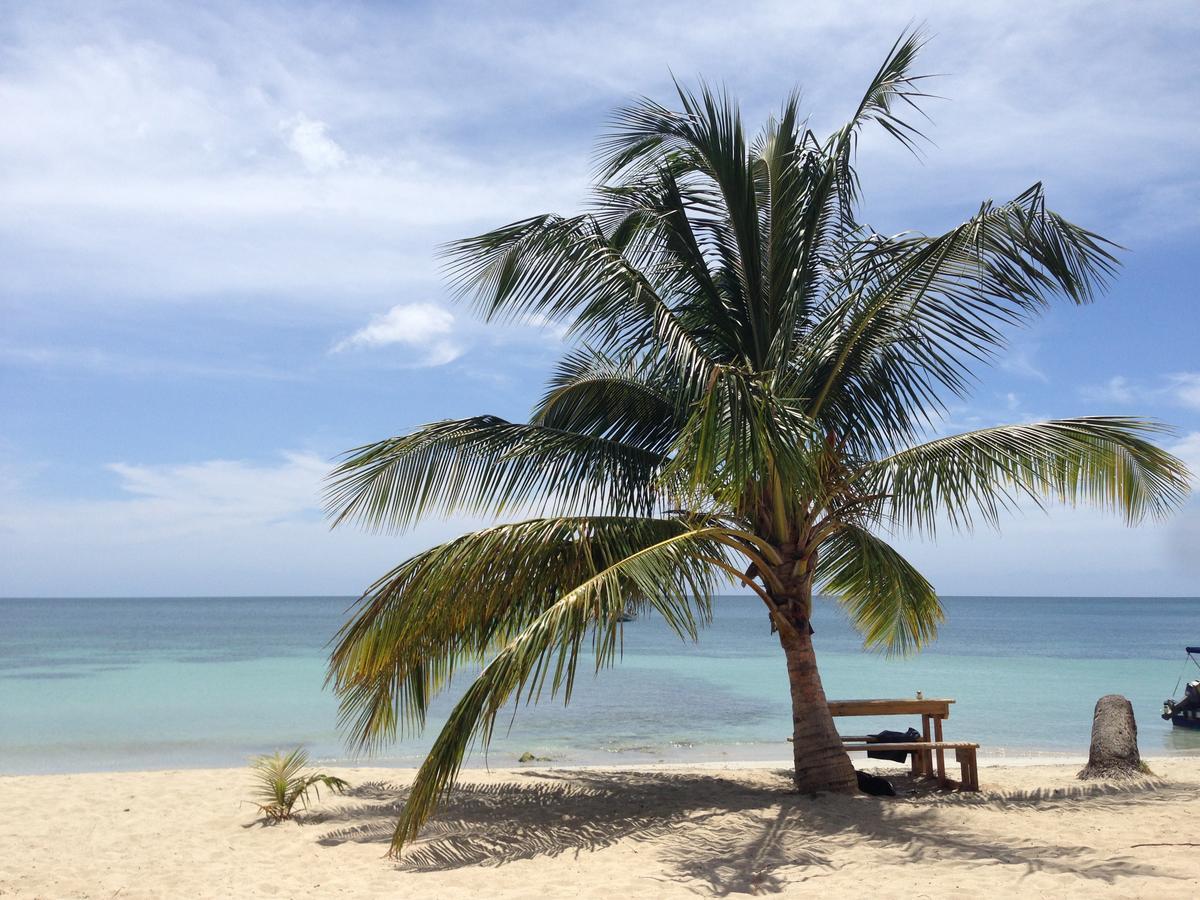 Windy View Guest House Archibolds ภายนอก รูปภาพ