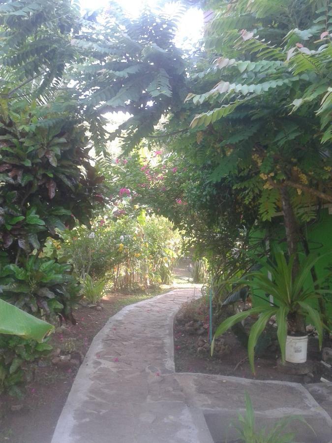 Windy View Guest House Archibolds ภายนอก รูปภาพ