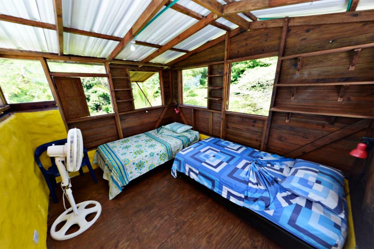 Windy View Guest House Archibolds ภายนอก รูปภาพ